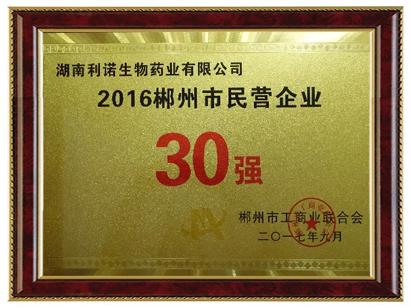 民营企业30强