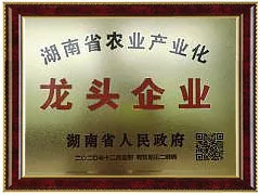 龙头企业