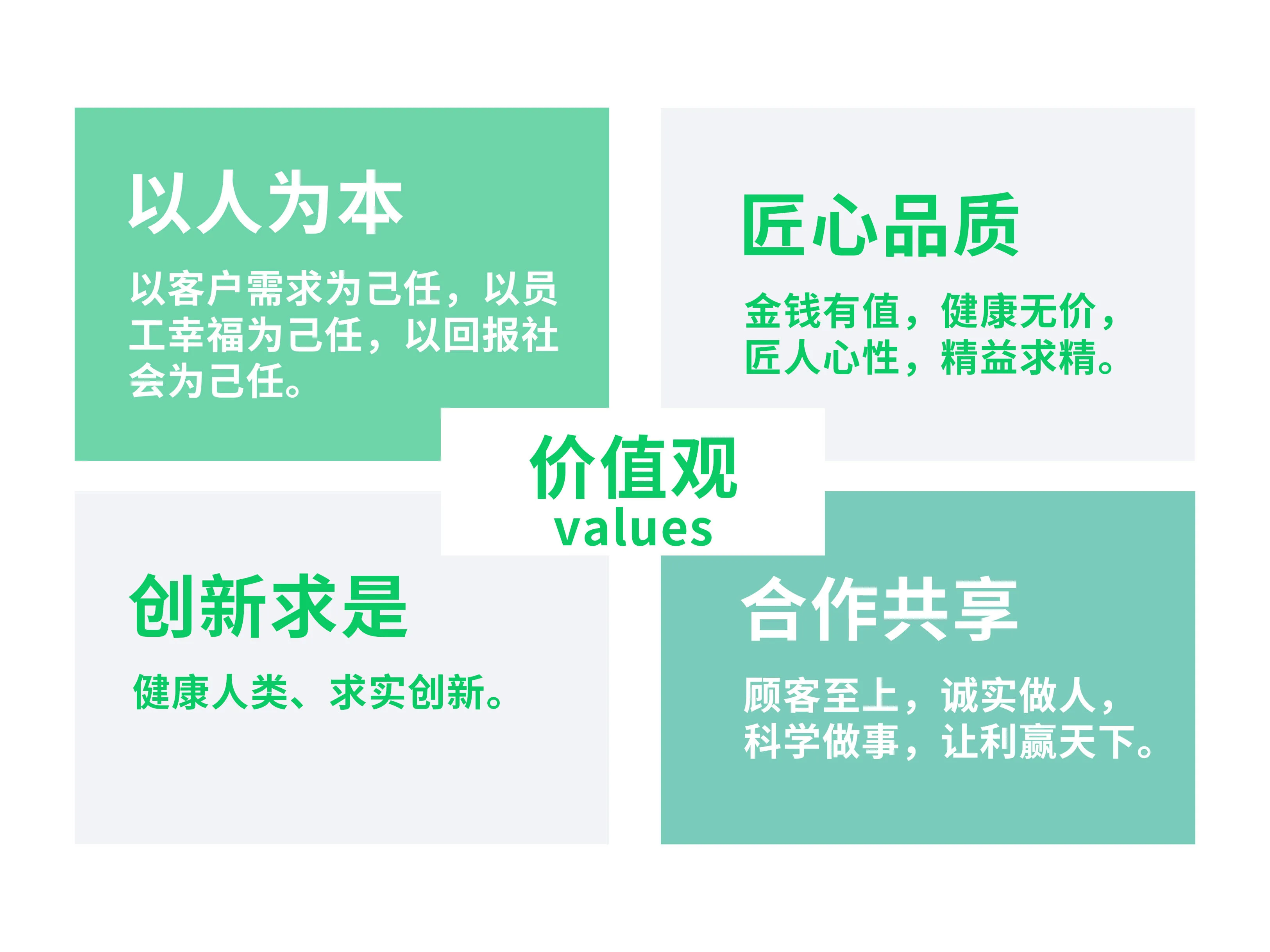 公司使命