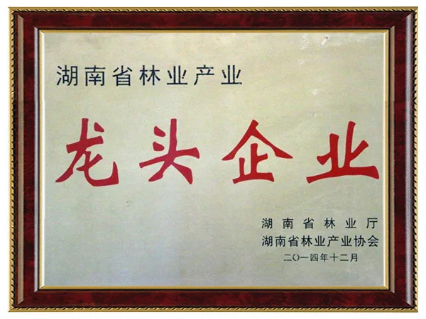 湖南省林业产业龙头企业